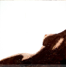 wp59228613.png