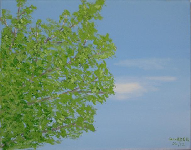 wpcf777c48.png